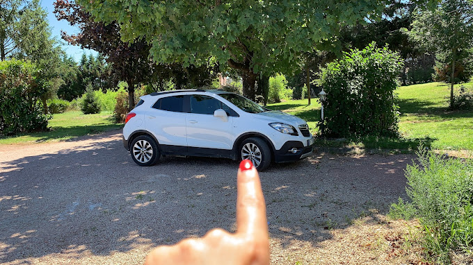 Aperçu des activités de la casse automobile CAILLE ET FILS située à SAINT-MARTIN-BELLE-ROCHE (71118)